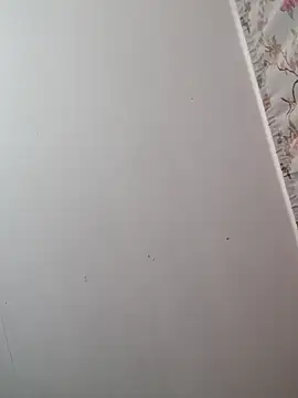 braidqueen00 online show from February 6, 8:01 pm