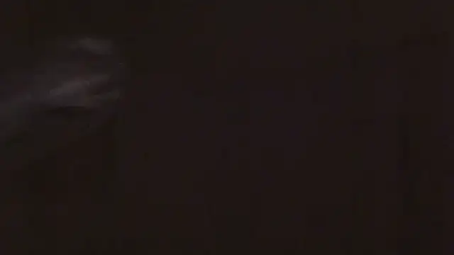 cryptokimgirl online show from March 8, 4:49 am