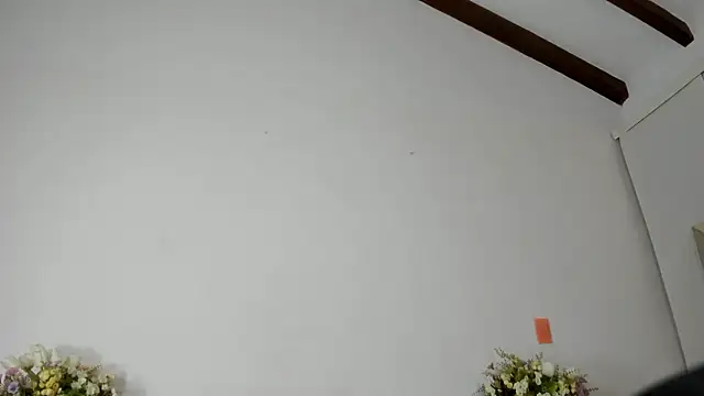 IsaSantoDomingo online show from January 17, 11:01 pm