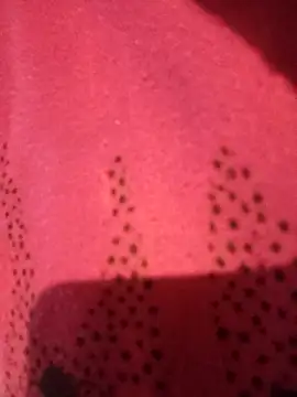 gatitachula93 online show from February 28, 7:02 pm