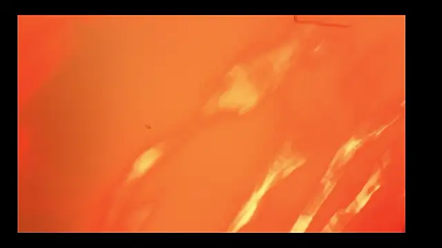 vickvalencia2 online show from February 16, 1:33 pm