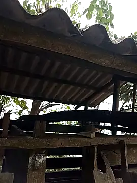 Girl cutee online show from March 5, 10:11 am