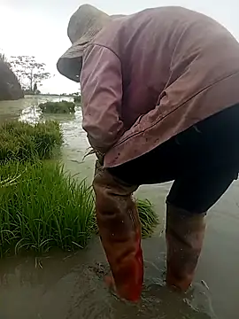 Girl cutee online show from March 17, 7:34 am