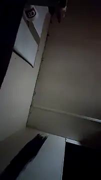 YinnYang online show from January 16, 8:10 am