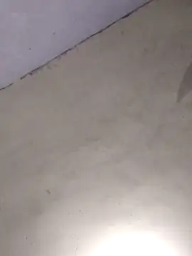 vanNe78 online show from December 21, 3:27 pm