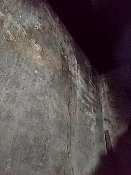 dakota-kis online show from February 4, 9:45 am