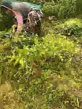 hornycouple20000 online show from January 8, 5:44 am