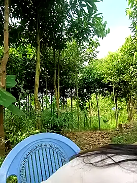 xiaogoal online show from July 11, 8:47 am