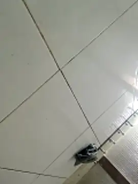 Sana-vn online show from March 4, 5:52 pm