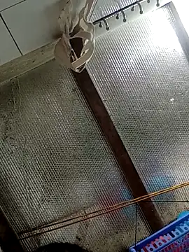 Sana-vn online show from March 5, 5:53 pm