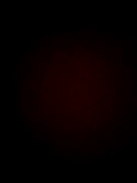 Pinki raja online show from January 13, 5:28 pm