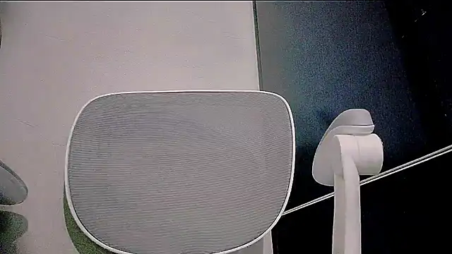 ting 368 online show from July 28, 2:24 pm