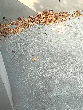 Cute-rasma online show from February 15, 9:52 am