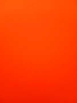 Bee babie online show from February 14, 7:10 am