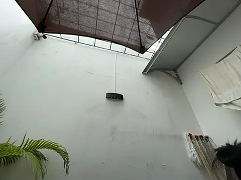 Auri   online show from July 3, 7:42 pm