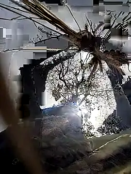 Hotty raghni online show from March 17, 7:56 am