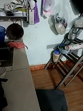 Tulip ii online show from March 5, 10:00 am