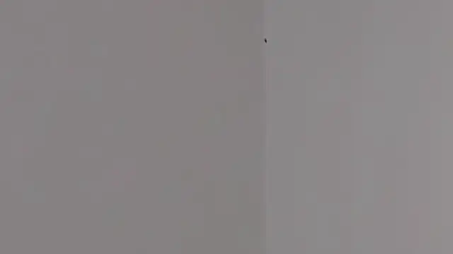 Lilith pink29 online show from February 3, 3:37 am