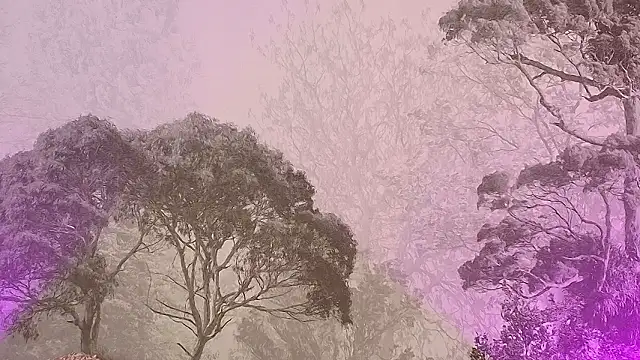 Elizabeth Ferrer online show from March 11, 12:31 pm