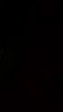 Velvet Hell online show from July 23, 10:45 am