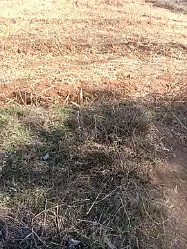 Hot kir86 online show from March 13, 4:47 am