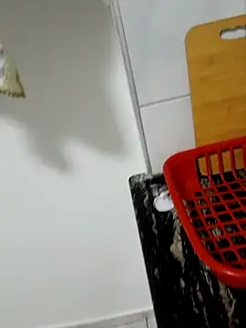 luamel2126 online show from February 19, 9:09 am