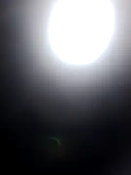 molly-xx online show from July 6, 10:12 pm