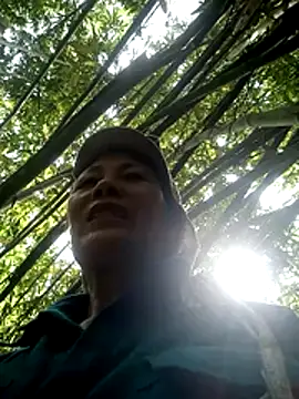 toyo 668 online show from June 24, 7:29 am
