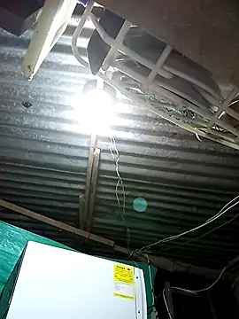 laurens world online show from February 28, 1:27 am