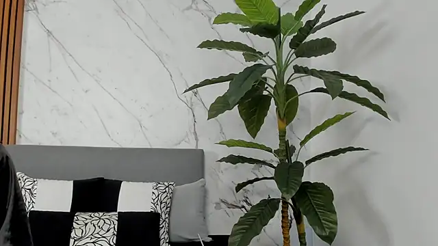 Amara Velvet  online show from July 14, 9:52 pm