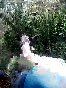 mar coral2 online show from July 7, 1:36 pm