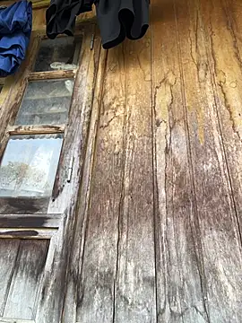 Vena-beauty online show from March 19, 1:32 am