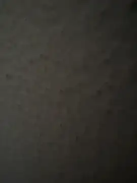 MIABCDZ online show from May 12, 1:58 am