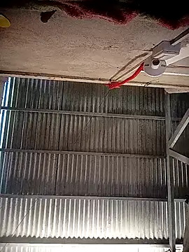 cummer pinay8 online show from March 18, 1:43 am