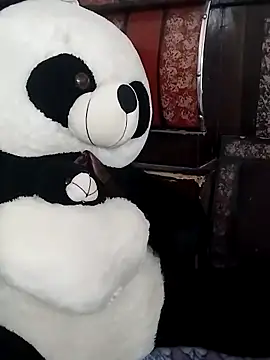 Palak 143 online show from March 14, 9:21 am