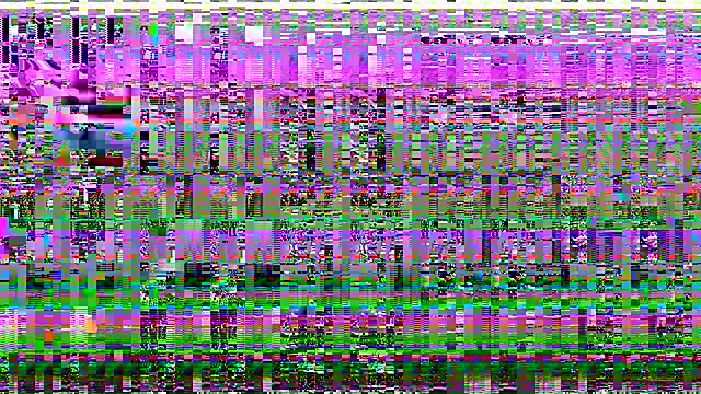 starfishanal21 online show from April 4, 1:15 am