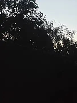 DanieleAleksandraDeRossii online show from June 22, 7:44 pm
