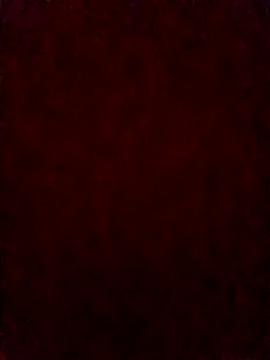 pricilanunes online show from June 9, 7:57 pm