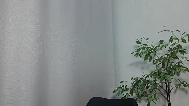 MariaTravel online show from July 17, 5:49 pm