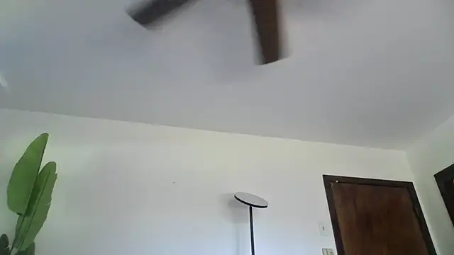 WetFlower69 online show from June 24, 1:32 pm
