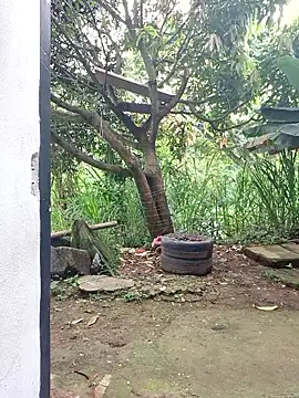 venusandzeusxh online show from February 10, 12:52 pm