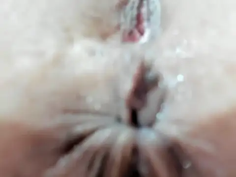 foxy-porn1 online show from June 7, 8:59 pm