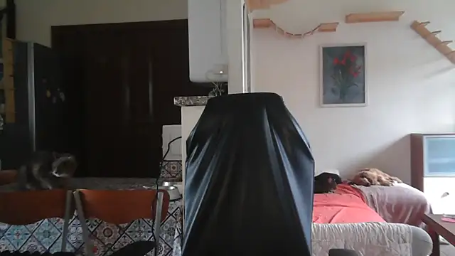 simona60 online show from September 27, 1:29 pm