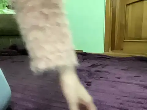 AngelTough20 online show from September 24, 11:15 pm