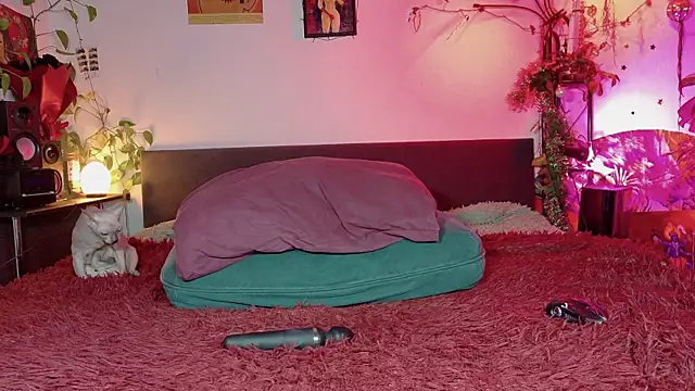 olivecum online show from December 20, 2:32 pm