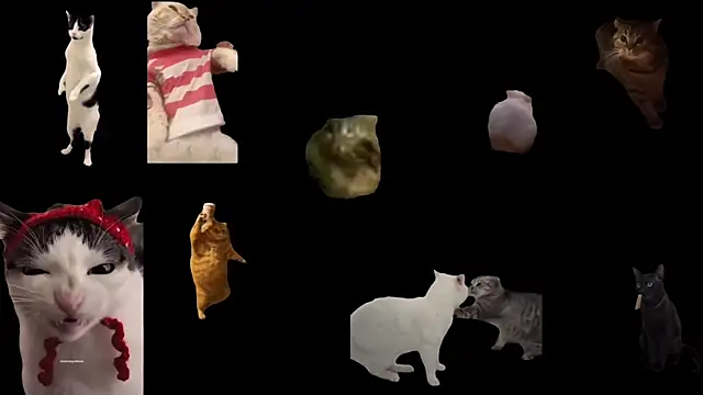 aberaaruba online show from November 17, 3:46 pm