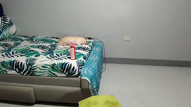 DOLL-DOMINATION online show from September 14, 4:38 pm