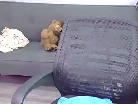 Bee 2k online show from October 5, 6:07 am