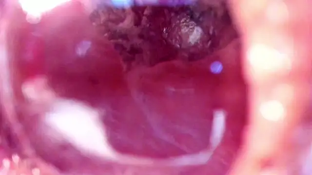 NikkaHOTx online show from September 14, 5:38 am