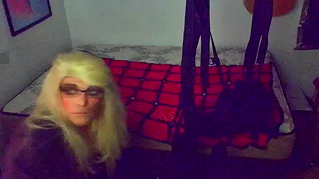 Snapshot of DoMeDoggyNow chatting on November 1, 7:45 am DoMeDoggyNow online show from November 1, 7:45 am